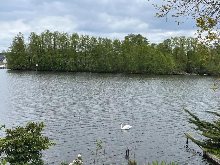 Lakeside Studio - Haus Mit Seezugang Königs Wusterhausen Dış mekan fotoğraf