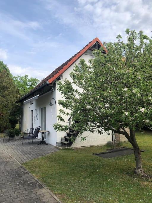 Lakeside Studio - Haus Mit Seezugang Königs Wusterhausen Dış mekan fotoğraf